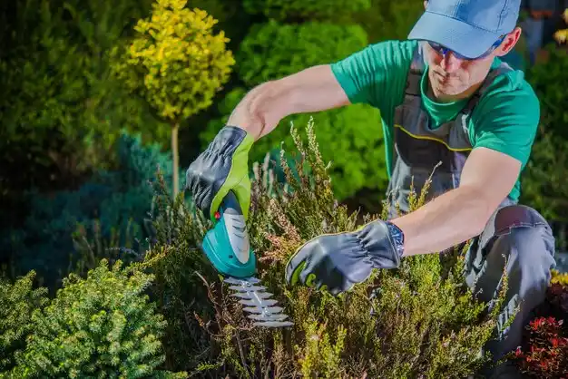 landscaping services Sandy Hook